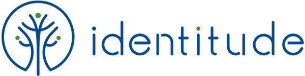 Identitude - Didier Heughebaert